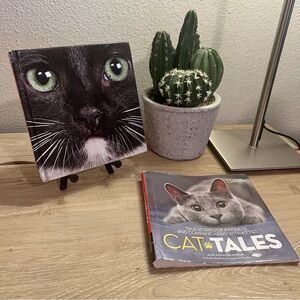 National Geographic Cat Tales Aline Alexander Newman Cat Stories Hardcover